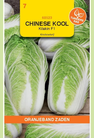 Chinese cabbage Kilakin F1 (Brassica) 50 seeds OBZ
